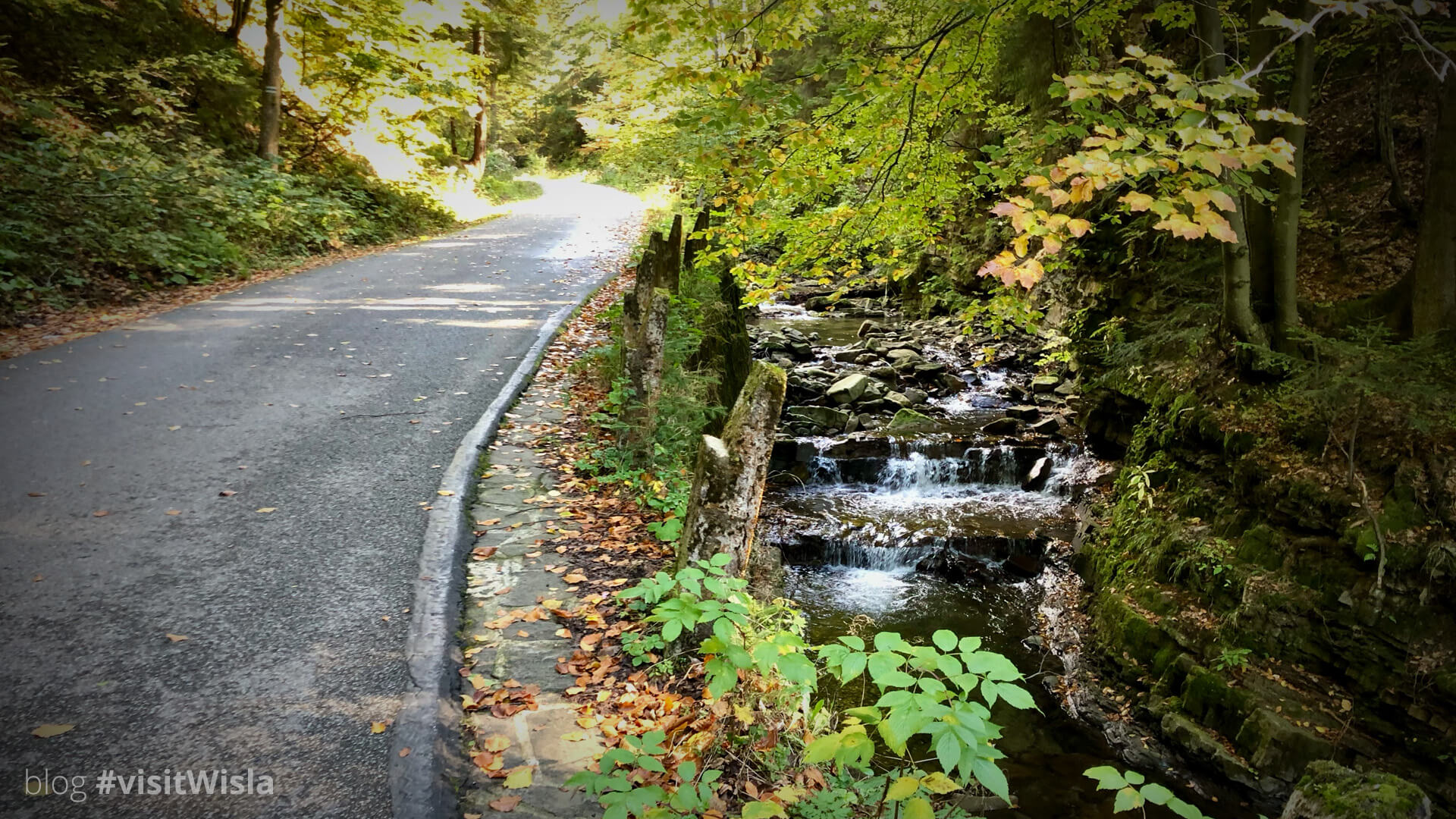 Dolina Czarnej Wisełki